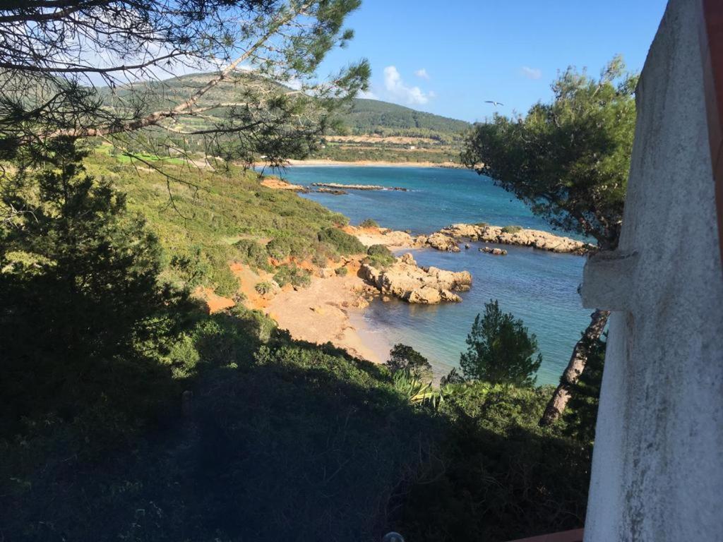Cala Azul Residence B&B Альгеро Экстерьер фото